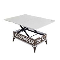 Modern Coffee Table