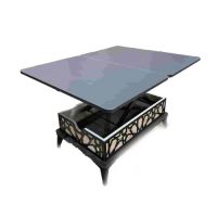 Modern Coffee Table